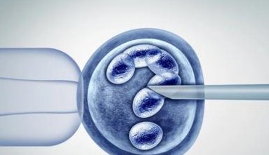 精子顶体酶活性低做几代试管？如何解决是关键