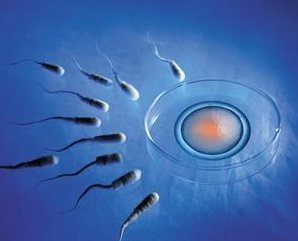 赣州地区做试管婴儿哪些人群可以免于降调处理？