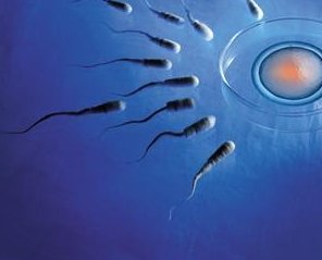 新疆柯尔克孜族如何自行操作卵巢炎患者的试管婴儿治疗