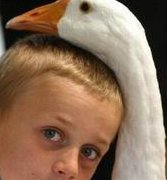 卵巢储备不足怎么提高，有哪些提高方式？