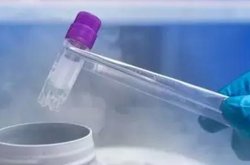 在上海做三代试管婴儿的费用是多少？钱都花到了哪些地方！