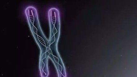 40岁高龄能做试管婴儿吗？40岁高龄试管婴儿成功率有多少？